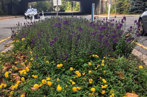 Flowers bloom throughout the season. Here perennials and annuals brighten an important corner that welcomes you to Old Westbury
