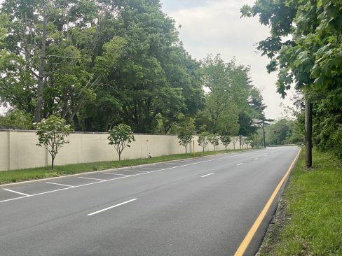 Friends of Old Westbury carefully chose this flowering dogwood to be friendly with overhead wires.