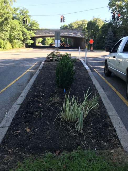 This is what the triangle at Post Road looked like before Friends of Old Westbury upgraded the plantings.